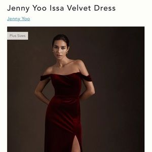 Anthro BHLDN Jenny Yoo Issa velvet dress size 4 Dark Berry